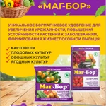 фото Удобрение Маг-Бор
