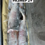 Фото №4 Кета ПБГ Крупная