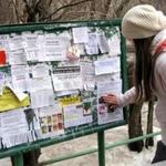 Фото №2 Расклейка объявлений