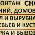 Демонтаж Снос Слом Спил деревьев вывоз мусора выру