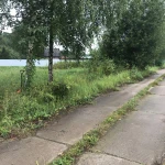 Фото №3 Покос травы расчистка участка