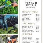 Покос травы/стрижка кустов