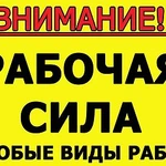 ГРУЗЧИКИ!!!РАЗНОРАБОЧИЕ!!!Грузотакси.Вывоз мусора.Армавир