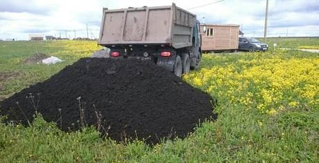 Фото Чернозем в Санкт-Петербурге и Лен.области.