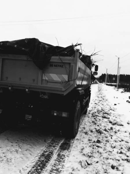 Фото Вывоз любого мусора на свалку