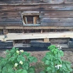 Фото №8 Сайдинг, кровля, подъем домов