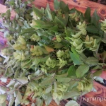 Фото №3 Бук. Цена за 100 грамм.