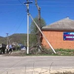 Фото №3 Спил деревьев