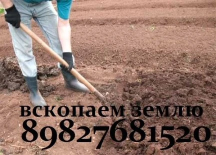 Фото Вскопаем землю
