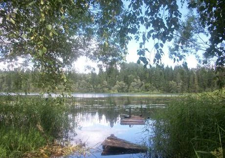 Фото Дом на берегу озера Табошево Вышневолоцкого р-на