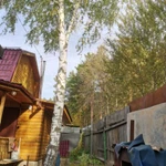 Спил и обрезка деревьев в Ступинском районе