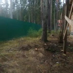 Фото №24 Выполнен объект Валка Расчистка Спил Уборка. 101 фотография.