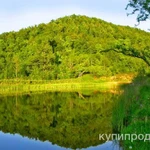 Фото №4 Аренда - продажа. Дача + бизнес, на участке 2,8Га.