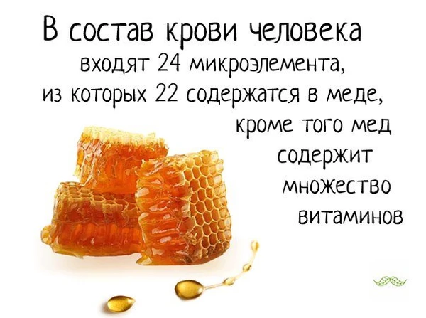 Фото Натуральный мёд с личной пасеки