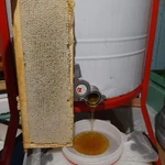 Фото №2 Мёд из Удмуртии