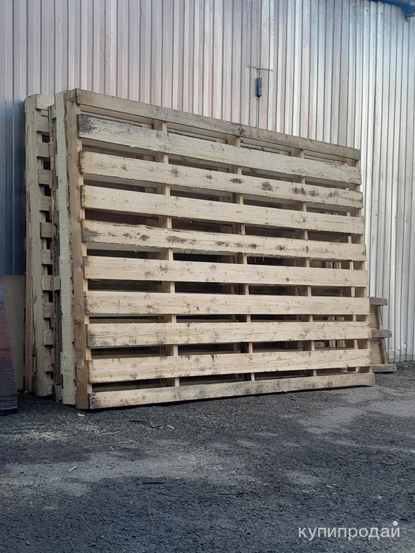 Фото Большие поддоны