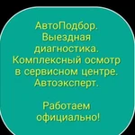 Автоподбор, выездная диагностика, замер лкп