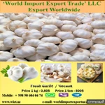 Фото №2 чеснок