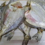 Фото №2 Рвбонька