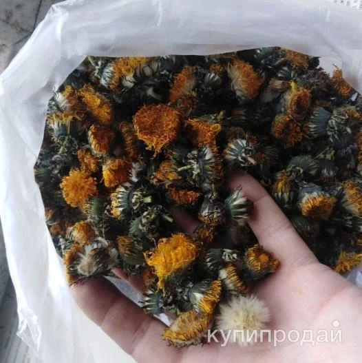 Фото Одуванчики цвет.Цена за 100 грамм.