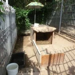 Фото №6 Передержка собак разных пород и кошек