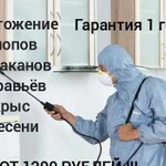 Дезинфекция. Уничтожение тараканов