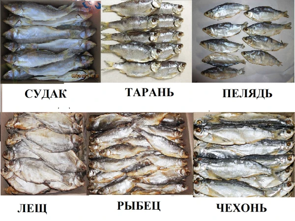 Фото Рыба вяленая, рыба сушеная, сушёные морепродукты,  сушеное, вяленое мясо, орехи, весовые снеки, закуски к пиву Слайсы (чипсы) из кеты