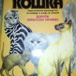 Фото №7 Все что нужно знать о кошках