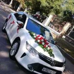 Прокат Vip авто toyota camry. Lexus L200.украшения