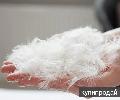 Фото Пухо-перьевые смеси
