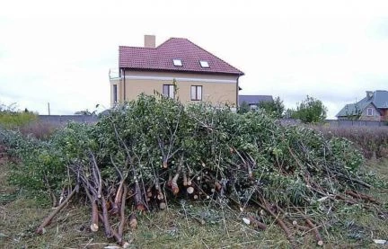 Фото Услуги уборки участка, скоса травы, косьбы, покос