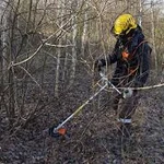 Фото №3 Расчистка участков.Все виды земляных работ