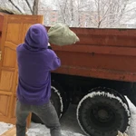 Фото №6 Грузоперевозки. Грузчики. Вывоз мусора. 