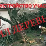 Благоустройство/Спил деревьев