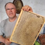 Фото №9 Мёд, трутневой гомогенат, маточное молочко