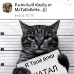 Опытный ветеринар с выездом к вам на дом