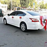 Фото №262 Свадебные машины, лимузины, микроавтобусы в Липецке