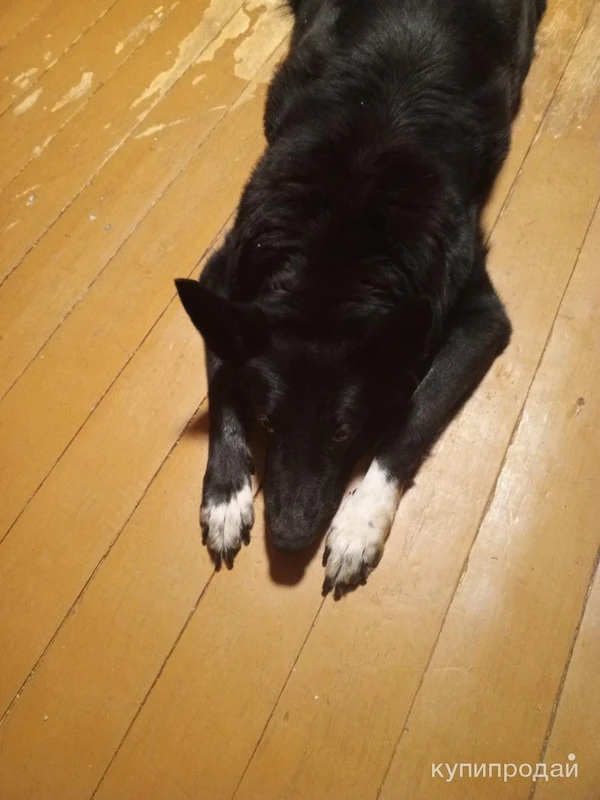 Фото Прошу помощи!!! ???