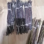 Фото №2 Веточки плодовых деревьев лесных.