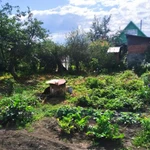 Фото №4 Срочно продам дачу