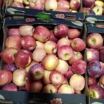 фото Яблоки