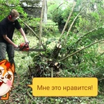 Расчистка участка от зарослей