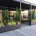 Фото №2 Озеленение офисов и помещений. Фитодизайн