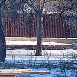 Фото №3 Заборы