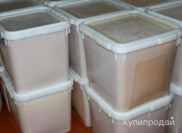 Фото Продам мёд подсолнечный