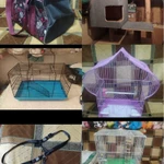 Фото №5 Когтеточка большая