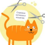 Стрижка кошек. Вычесывание(фурминг)