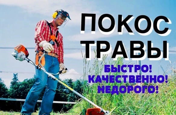 Фото Покос травы, обрезка деревьев 
