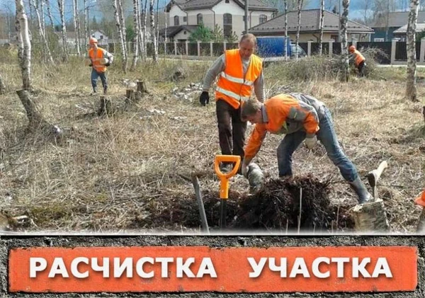 Фото Расчистка участка, дачи от хлама, мусора и старых деревьев