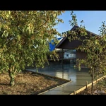 Фото №7 Кровельные работы